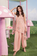 3 Pc Unstitched Embroidered Lawn Suit
