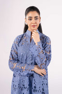 2 Pc Embroidered Lawn Suit