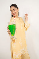 2 Pc Embroidered Arabic Lawn Suit