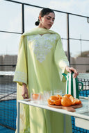 Printed Chiffon Dupatta
