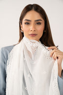 Embroidered Cationic Chiffon Dupatta