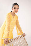 Embroidered Cationic Chiffon Shirt