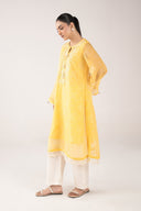 Embroidered Cationic Chiffon Shirt
