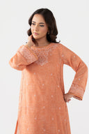 Embroidered Paper Lawn Shirt