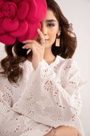 2 Pc Embroidered Lawn Suit
