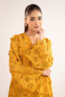 2 Pc Embroidered Lawn Suit