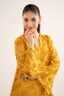 2 Pc Embroidered Lawn Suit