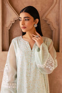 2 Pc Embroidered Organza Suit