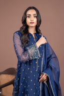 2 Pc Embroidered Organza Suit
