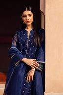 2 Pc Embroidered Organza Suit