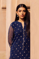 2 Pc Embroidered Organza Suit
