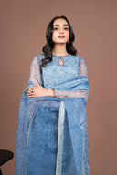 2 Pc Printed Organza Suit