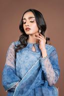 2 Pc Printed Organza Suit