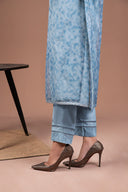2 Pc Printed Organza Suit