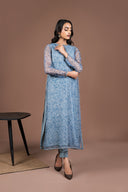 2 Pc Printed Organza Suit