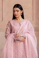 2 Piece Embroidered Organza Suit