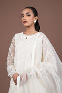 2 Piece Embroidered Organza Suit