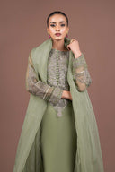 2 Piece Embroidered Organza Suit