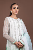 2 Piece Embroidered Organza Suit