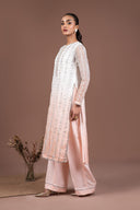 2 Pc Embroidered Organza Suit