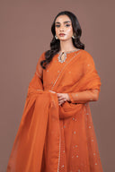 2 Piece Embroidered Organza Suit