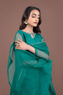 2 Piece Embroidered Organza Suit