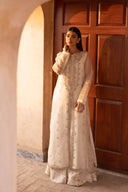 2 Piece Embroidered Organza Suit