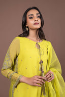 2 Piece Embroidered Organza Suit