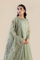 2 Pc Embroidered Organza Suit