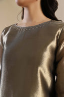 2 Pc Embroidered Tissue Suit