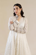 2 Pc Embroidered Organza Suit