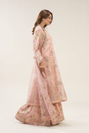 3 Pc Embroidered Organza Suit