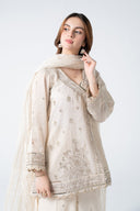 3 Pc Embroidered Lurex Organza Suit