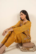 2 Pc Embroidered Cotton Net Suit