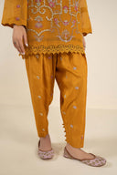 2 Pc Embroidered Cotton Net Suit