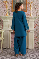 2 Pc Embroidered Raw Silk Suit