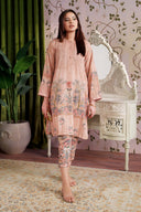 2 Pc Printed Georgette Suit