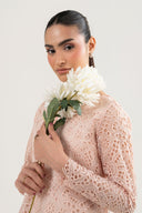 2 Pc Embroidered Organza Suit