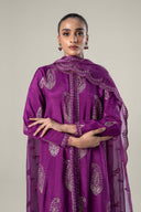 2 Pc Embroidered Raw Silk Suit