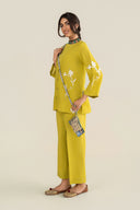2 Pc Embroidered Karandi Suit