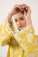 2 Pc Embroidered Lawn Suit