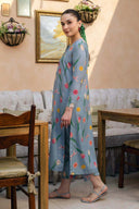 2 Pc Printed Karandi Suit