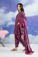 3 Pc Embroidered Khaddar Suit
