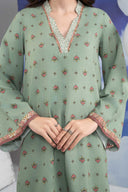 2 Pc Printed Karandi Suit