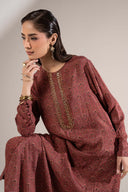 2 Pc Embellished Raw Silk Suit
