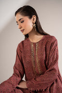 2 Pc Embellished Raw Silk Suit