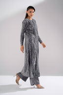 2 Pc Embellished Velvet Suit