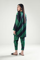 2 Pc Printed Khaddar Suit