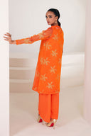 2 Pc Printed Organza Suit