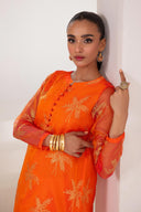 2 Pc Printed Organza Suit